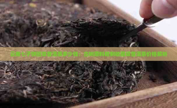云南七子饼班章普洱茶多少钱：古树原料精制收藏级普洱茶价格解析