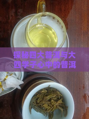 探秘四大普洱与大四学子心中的普洱茶