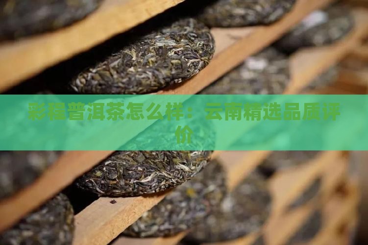 彩程普洱茶怎么样：云南精选品质评价