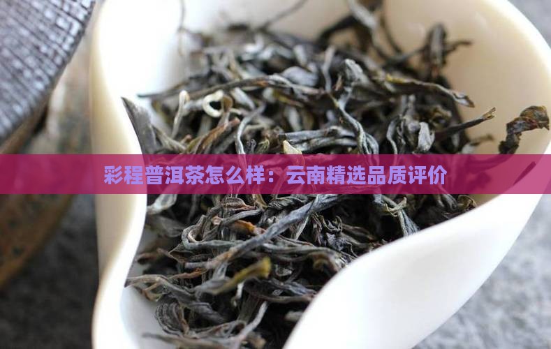 彩程普洱茶怎么样：云南精选品质评价