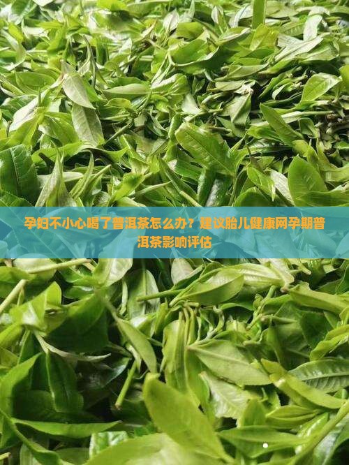 孕妇不小心喝了普洱茶怎么办？建议胎儿健康网孕期普洱茶影响评估