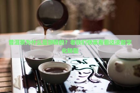 普洱茶为什么是饼砖的？老铁们快来看看这波数字化转型