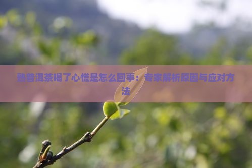 熟普洱茶喝了心慌是怎么回事：专家解析原因与应对方法