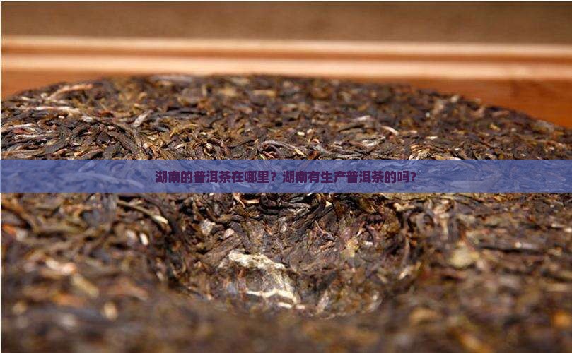 湖南的普洱茶在哪里？湖南有生产普洱茶的吗？