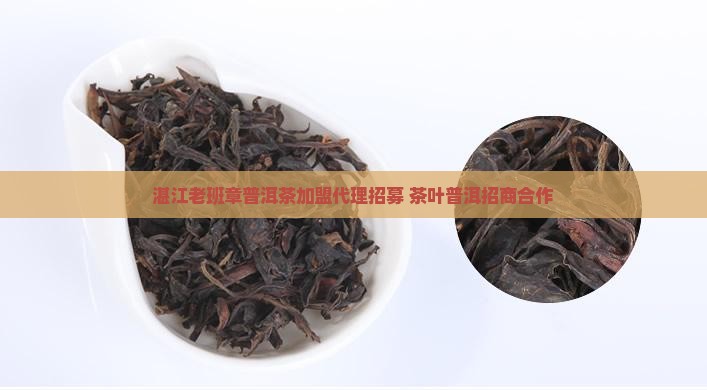 湛江老班章普洱茶加盟代理招募 茶叶普洱招商合作