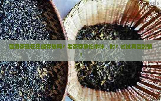 普洱茶现在还能存放吗？老茶存放怕串味、时？试试真空封装！
