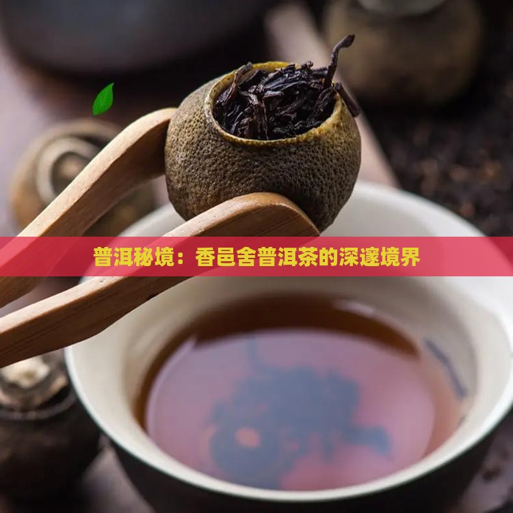 普洱秘境：香邑舍普洱茶的深邃境界