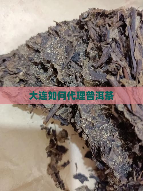大连如何代理普洱茶