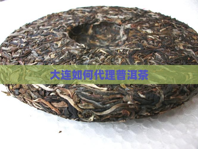 大连如何代理普洱茶