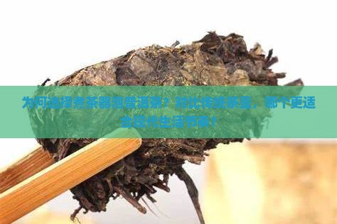 为何选择煮茶器泡普洱茶？对比传统茶壶，哪个更适合现代生活节奏？