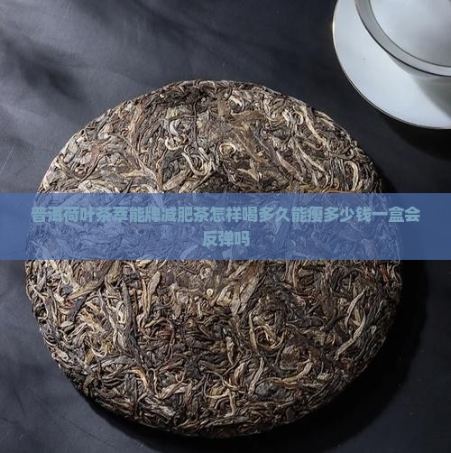 普洱荷叶茶萃能牌减肥茶怎样喝多久能瘦多少钱一盒会反弹吗