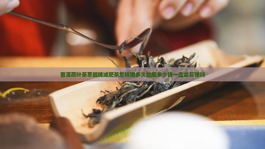 普洱荷叶茶萃能牌减肥茶怎样喝多久能瘦多少钱一盒会反弹吗