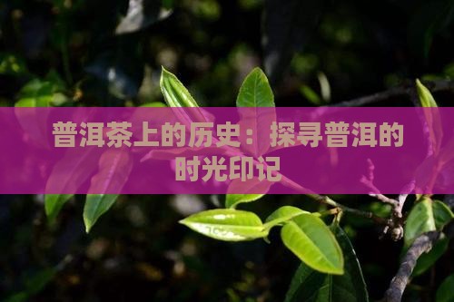 普洱茶上的历史：探寻普洱的时光印记