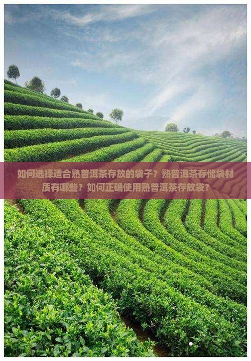 如何选择适合熟普洱茶存放的袋子？熟普洱茶存储袋材质有哪些？如何正确使用熟普洱茶存放袋？