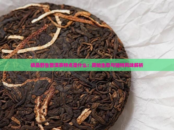 极品野生普洱茶特点是什么：原始生态与独特风味解析