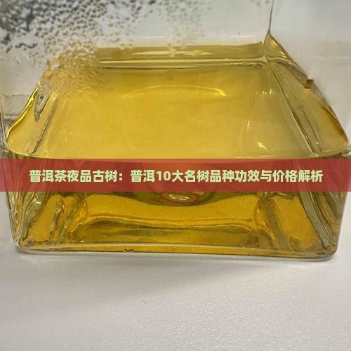 普洱茶夜品古树：普洱10大名树品种功效与价格解析