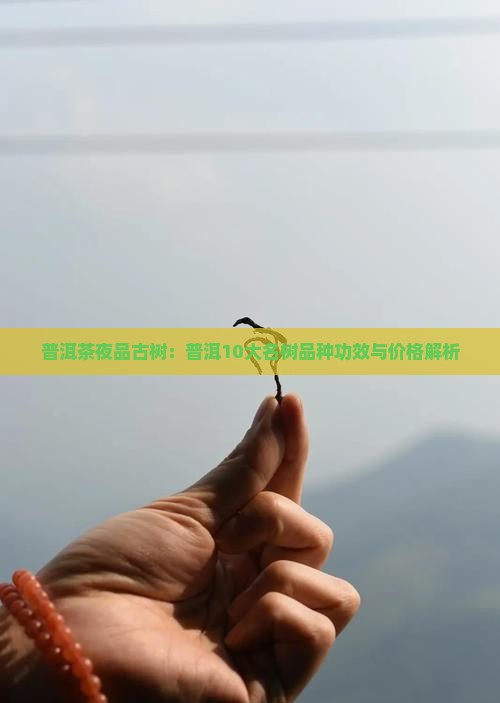 普洱茶夜品古树：普洱10大名树品种功效与价格解析