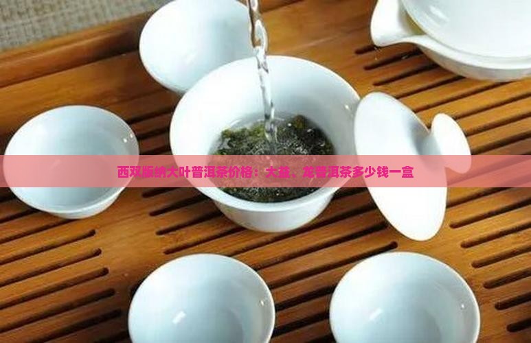 西双版纳大叶普洱茶价格：大益、龙普洱茶多少钱一盒