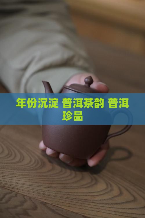 年份沉淀 普洱茶韵 普洱珍品