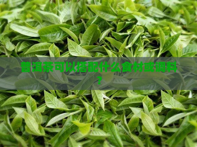 普洱茶可以搭配什么食材或调料？