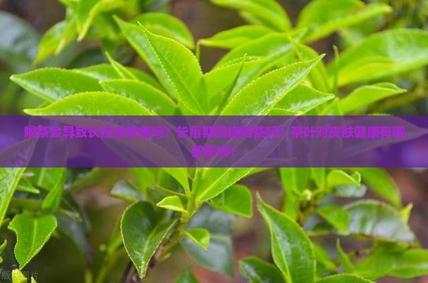 喝茶会导致长痘或痤疮吗？长痘期间能喝茶吗？茶叶对皮肤健康有哪些影响？