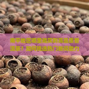南平地区哪里能买到高品质普洱茶？如何挑选热门新词助力选购？