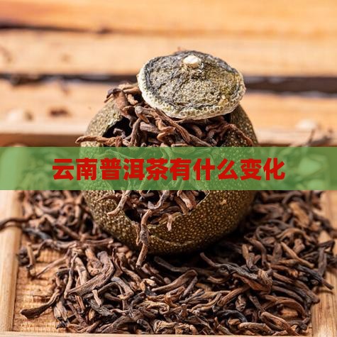 云南普洱茶有什么变化