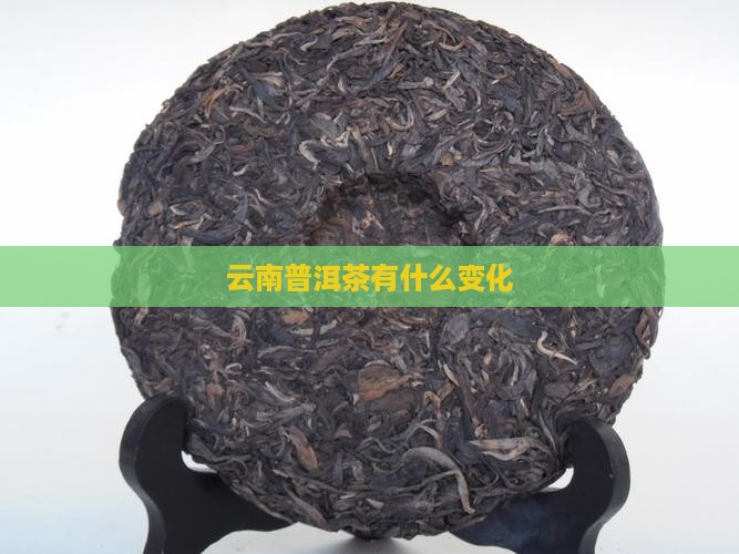 云南普洱茶有什么变化