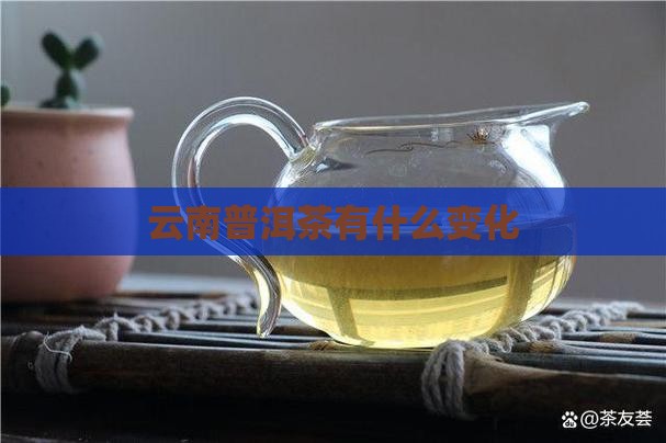 云南普洱茶有什么变化
