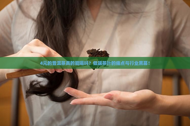 4元的普洱茶真的能喝吗？低端茶叶的痛点与行业黑幕！
