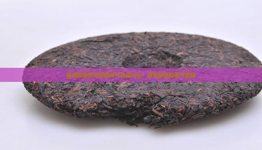 普洱茶茶饼中的独特气味是什么？普洱茶饼的香气奥秘