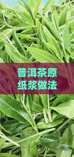普洱茶原纸浆做法：古法制作详解与步骤大全