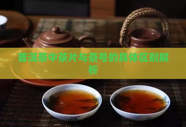 普洱茶中茶片与茶号的具体区别解析