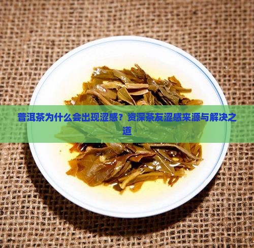 普洱茶为什么会出现涩感？资深茶友涩感来源与解决之道