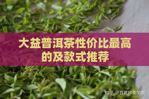 大益普洱茶性价比最高的及款式推荐