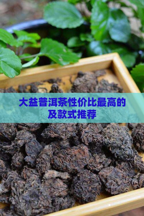 大益普洱茶性价比最高的及款式推荐