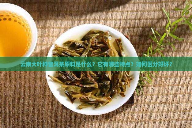 云南大叶种普洱茶原料是什么？它有哪些特点？如何区分好坏？