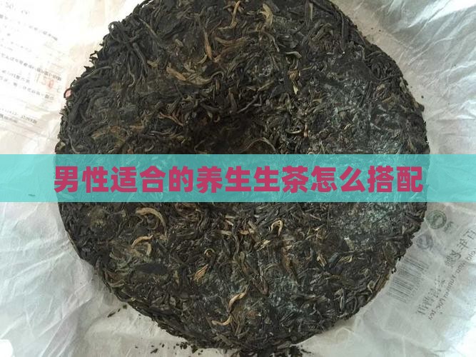 男性适合的养生生茶怎么搭配