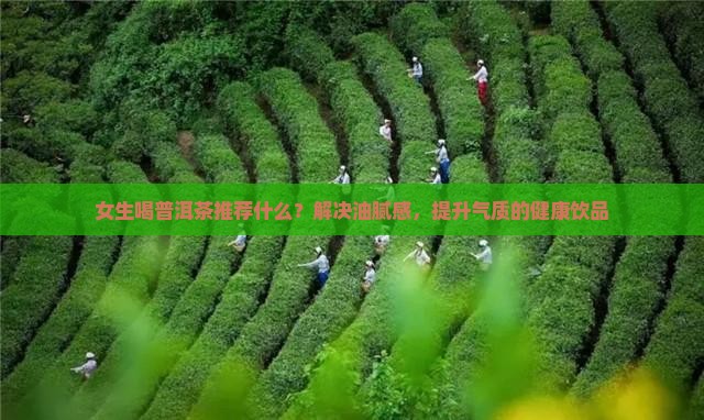女生喝普洱茶推荐什么？解决油腻感，提升气质的健康饮品