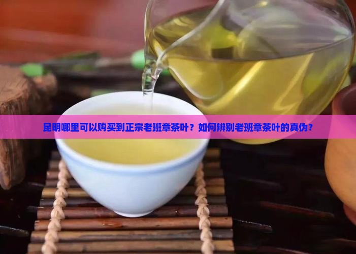 昆明哪里可以购买到正宗老班章茶叶？如何辨别老班章茶叶的真伪？