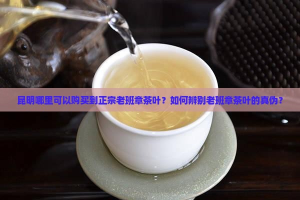 昆明哪里可以购买到正宗老班章茶叶？如何辨别老班章茶叶的真伪？