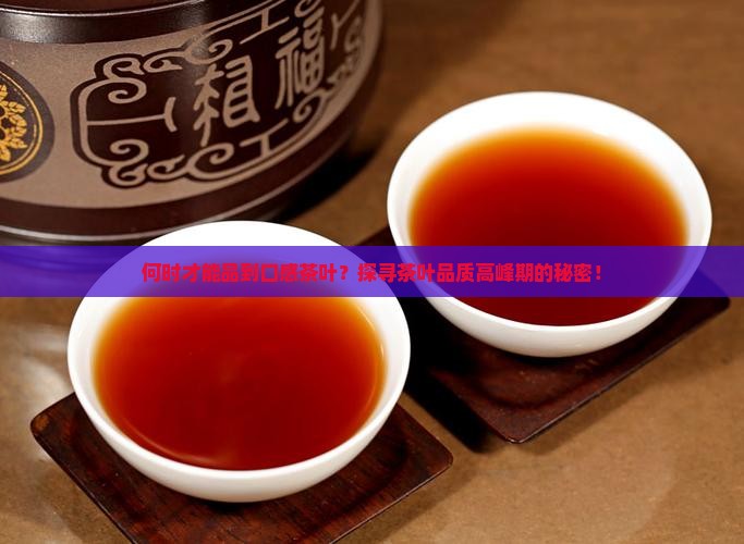 何时才能品到口感茶叶？探寻茶叶品质高峰期的秘密！