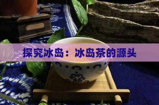 探究冰岛：冰岛茶的源头