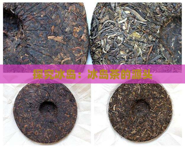 探究冰岛：冰岛茶的源头