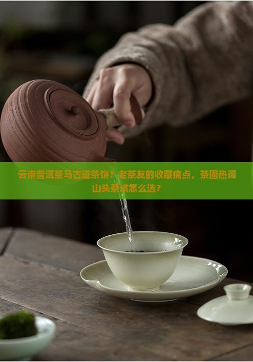 云南普洱茶马古道茶饼？老茶友的收藏痛点，茶圈热词山头茶该怎么选？