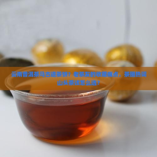 云南普洱茶马古道茶饼？老茶友的收藏痛点，茶圈热词山头茶该怎么选？