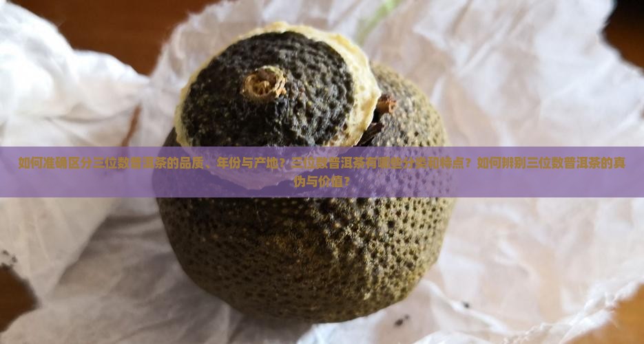 如何准确区分三位数普洱茶的品质、年份与产地？三位数普洱茶有哪些分类和特点？如何辨别三位数普洱茶的真伪与价值？