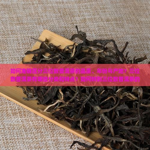 如何准确区分三位数普洱茶的品质、年份与产地？三位数普洱茶有哪些分类和特点？如何辨别三位数普洱茶的真伪与价值？