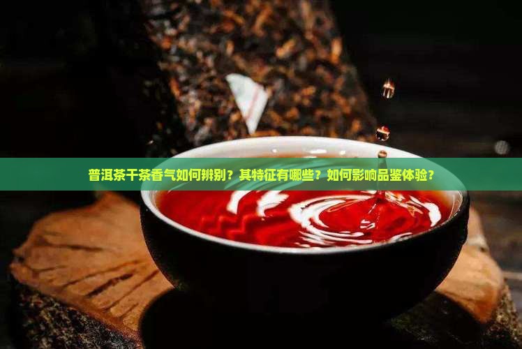 普洱茶干茶香气如何辨别？其特征有哪些？如何影响品鉴体验？