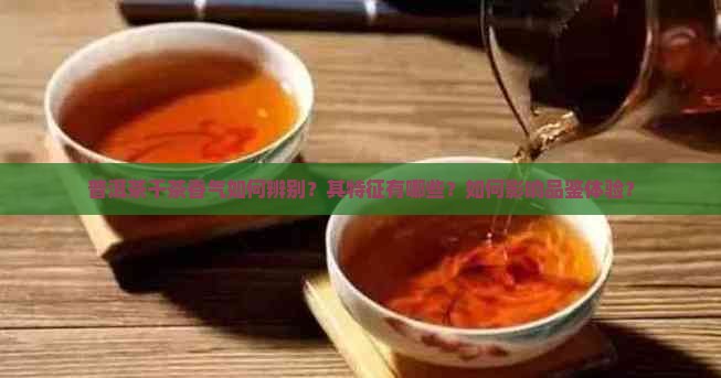 普洱茶干茶香气如何辨别？其特征有哪些？如何影响品鉴体验？